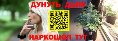 прущие грибы Лесосибирск